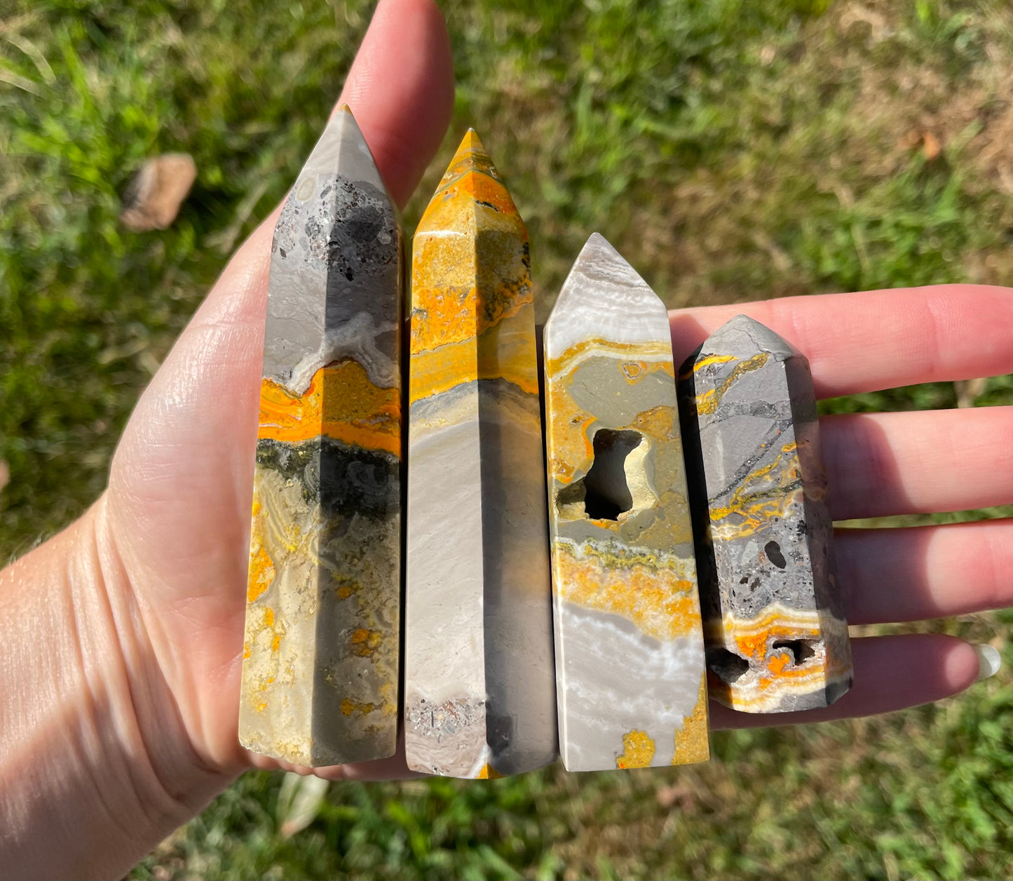 Bumblebee Jasper