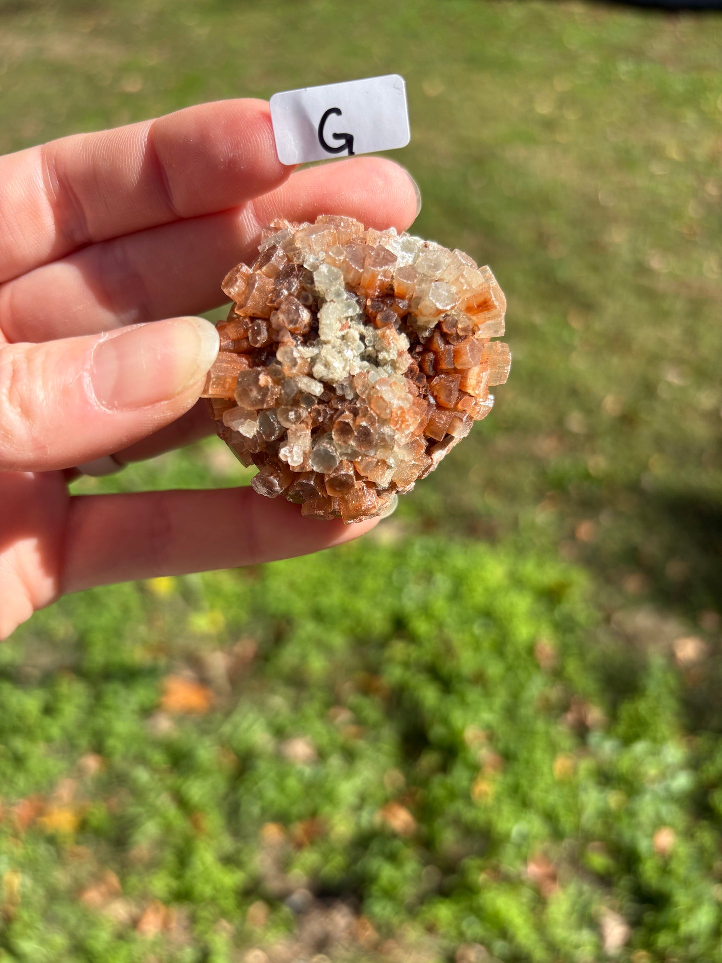 Aragonite Cluster